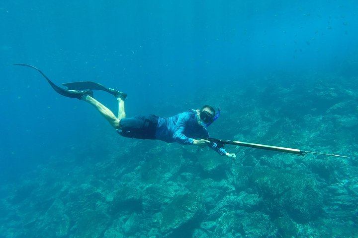 Discover Spearfishing course